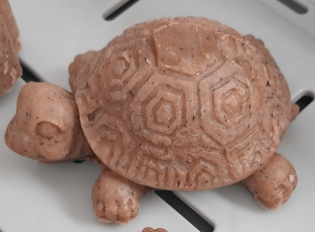 Les p'tites tortues