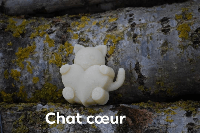 Les Z'animaux cœurs