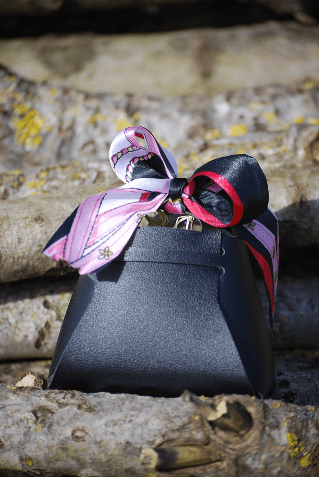 Le mini sac