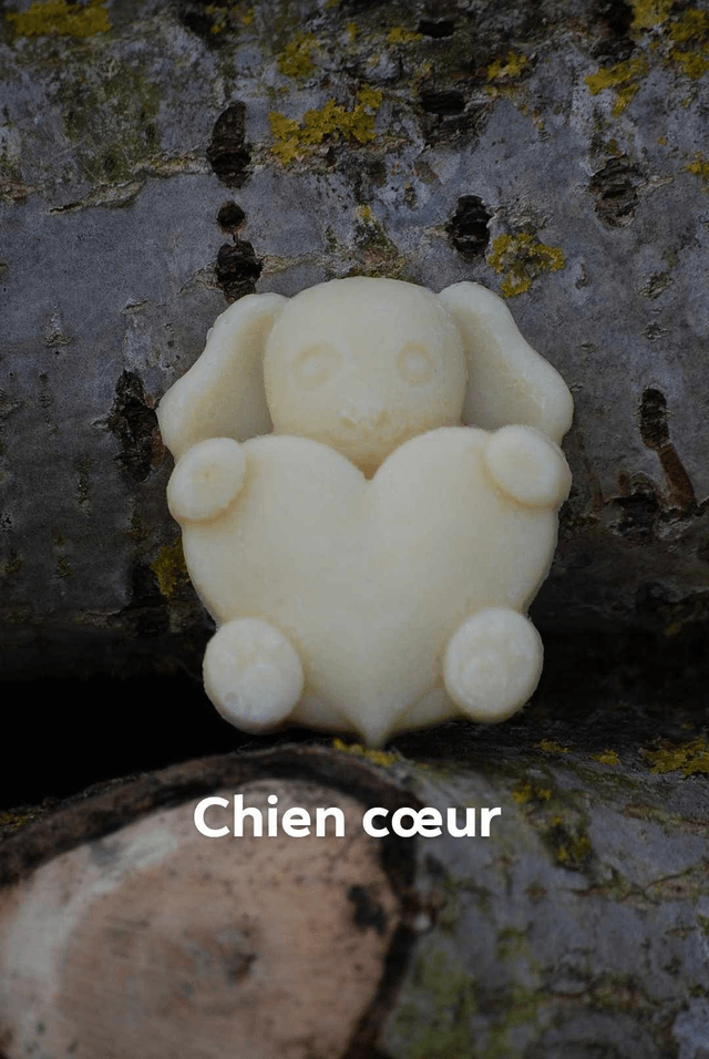 Les Z'animaux cœurs