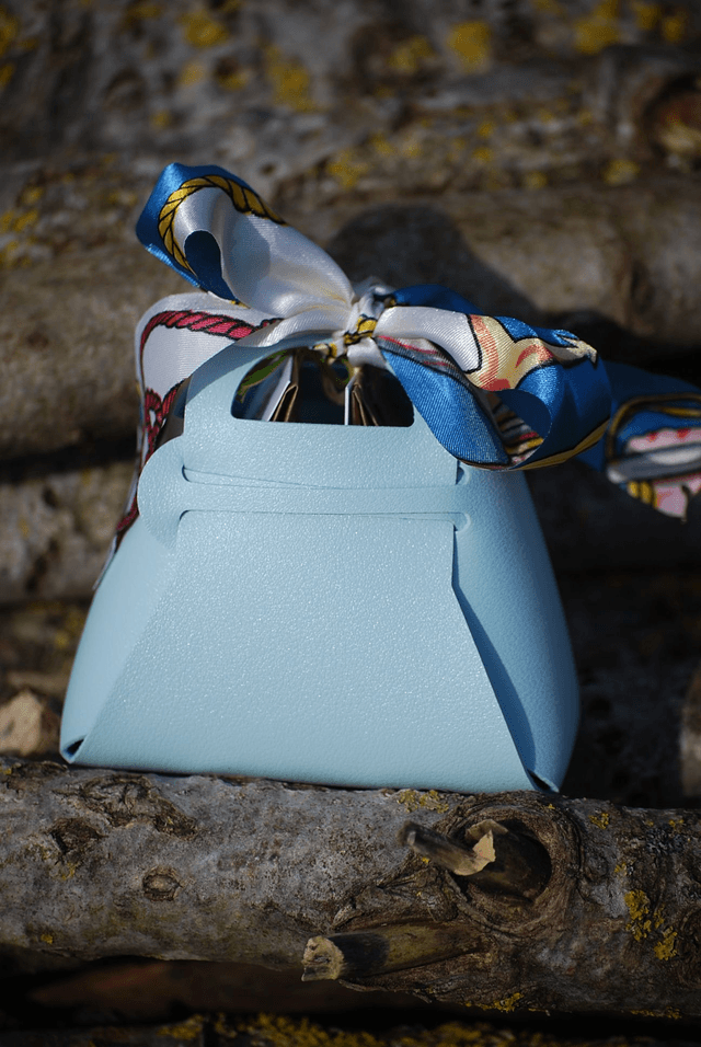 Le mini sac