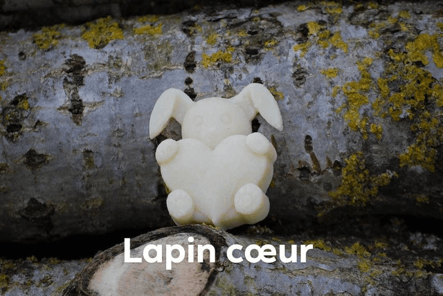 Les Z&#039;animaux cœurs